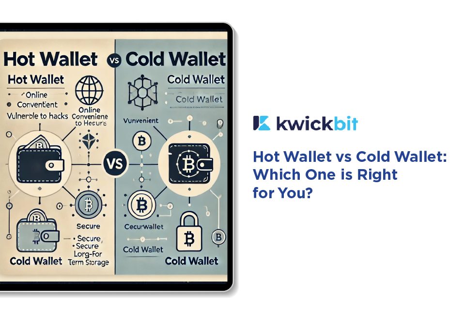 Hot Wallet vs Cold Wallet: Which One is Right for You?