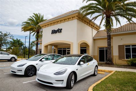 Tesla Rental